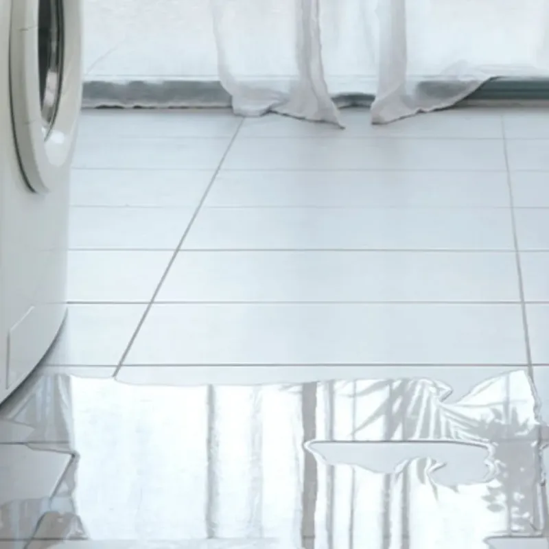 Appliance Leak Cleanup in Penngrove, CA